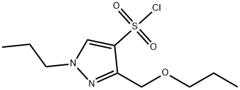 3-(propoxymethyl)-1-propyl-1H-pyrazole-4-sulfonyl chloride Struktur