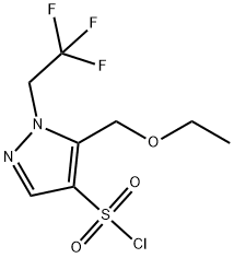 5-(ethoxymethyl)-1-(2,2,2-trifluoroethyl)-1H-pyrazole-4-sulfonyl chloride Structure