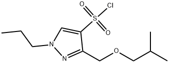 3-(isobutoxymethyl)-1-propyl-1H-pyrazole-4-sulfonyl chloride,1856102-03-8,结构式