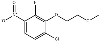Benzene, 1-chloro-3-fluoro-2-(2-methoxyethoxy)-4-nitro-,1881322-28-6,结构式