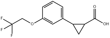 1883717-56-3 2-[3-(2,2,2-trifluoroethoxy)phenyl]cyclopropanecarboxylic acid