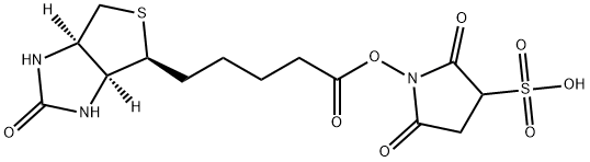 190598-55-1 2,5-二氧代-1-((5-((3AS,4S,6AR)-2-氧代六氢-1H-噻吩并[3,4-D]咪唑-4-基)戊酰基)氧基)吡咯烷-3-磺酸