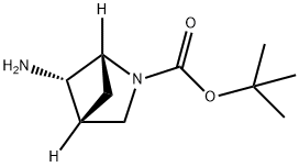 2-Azabicyclo[2.1.1]hexane-2-carboxylic acid, 5-amino-, 1,1-dimethylethyl ester, (1R,4R,5S)- 化学構造式