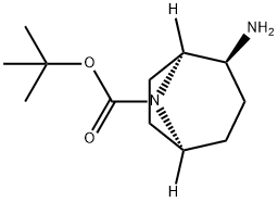 tert-butyl (1S,2S,5S)-2-amino-8-azabicyclo[3.2.1]octane-8-carboxylate,1932494-74-0,结构式