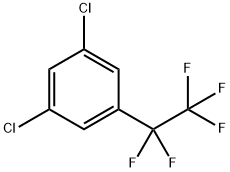 Benzene, 1,3-dichloro-5-(1,1,2,2,2-pentafluoroethyl)- Structure