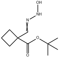 Cyclobutanecarboxylic acid, 1-[(hydroxyamino)iminomethyl]-, 1,1-dimethylethyl ester Struktur