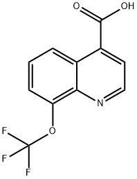 4-Quinolinecarboxylic acid, 8-(trifluoromethoxy)- Struktur