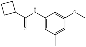 N-(3-甲氧基-5-甲基苯基)环丁甲酰胺, 2059931-99-4, 结构式