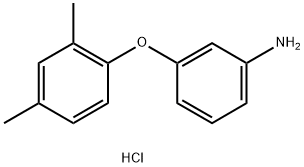 3-(2,4-dimethylphenoxy)aniline hydrochloride,2060033-12-5,结构式