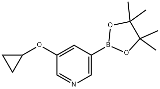 Pyridine, 3-(cyclopropyloxy)-5-(4,4,5,5-tetramethyl-1,3,2-dioxaborolan-2-yl)- Structure