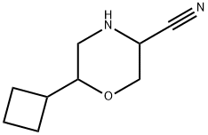 3-Morpholinecarbonitrile,6-cyclobutyl- 化学構造式