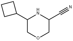 3-Morpholinecarbonitrile, 5-cyclobutyl-,2120589-59-3,结构式