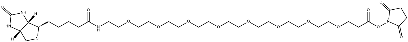 (+)-Biotin-PEG8-NHS Ester 化学構造式