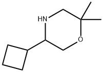 Morpholine, 5-cyclobutyl-2,2-dimethyl- Struktur