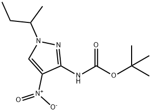 tert-butyl (1-sec-butyl-4-nitro-1H-pyrazol-3-yl)carbamate 结构式