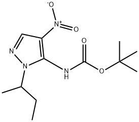 tert-butyl (1-sec-butyl-4-nitro-1H-pyrazol-5-yl)carbamate 化学構造式