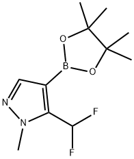 5-(difluoromethyl)-1-methyl-4-(tetramethyl-1,3,2-dioxaborolan-2-yl)-1H-pyrazole Structure