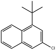 3-chloro-1-(1,1-dimethylethyl)Naphthalene Structure