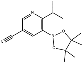 2-(iso-Propyl-5-cyanopyridine-3-boronic acid pinacol ester 化学構造式