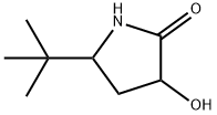 5-tert-butyl-3-hydroxypyrrolidin-2-one 结构式