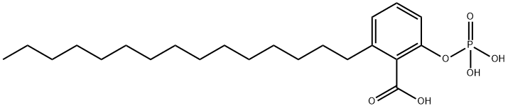 2281761-58-6 化合物 GINKGOLIC ACID 2-PHOSPHATE