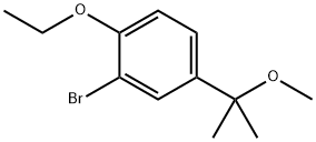 2-bromo-1-ethoxy-4-(1-methoxy-1-methyl-ethyl)benzene|2-bromo-1-ethoxy-4-(1-methoxy-1-methyl-ethyl)benzene