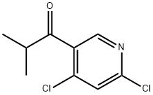 1-(4,6-二氯-3-吡啶基)-2-甲基-1-丙酮, 2355769-48-9, 结构式