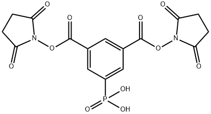 1,3-Benzenedicarboxylic acid, 5-phosphono-, 1,3-bis(2,5-dioxo-1-pyrrolidinyl) ester|