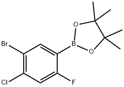 2377606-53-4 2-(5-溴-4-氯-2-氟苯基)-4,4,5,5-四甲基-1,3,2-二氧杂硼戊烷