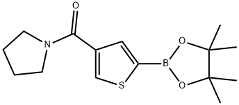 4-(Pyrrolidinocarbonyl)thiophene-2-boronic acid pinacol ester,2377611-94-2,结构式