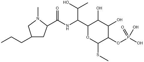 LincoMycin2-인산염