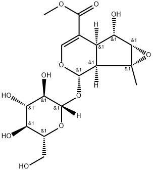 Phlorigidoside C Struktur