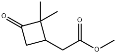 Cyclobutaneacetic acid, 2,2-dimethyl-3-oxo-, methyl ester Struktur