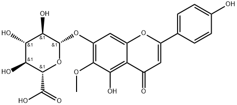 31105-76-7 Hispidulin 7-glucuronide