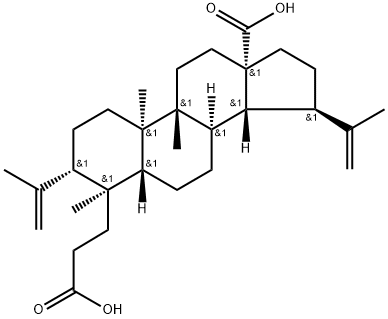 3,4-セコルパ-4(23),20(29)-ジエン-3,28-二酸 化学構造式