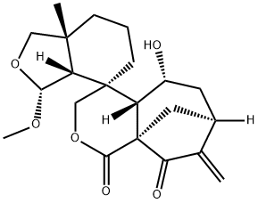 6-エピ-Augustifolin 化学構造式