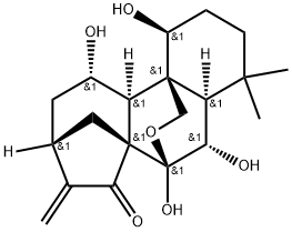 Lasiodonin Struktur