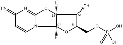 Cyclo-CMP Structure