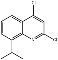 2,4-Dichloro-8-propan-2-ylquinoline Structure