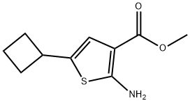 3-Thiophenecarboxylic acid, 2-amino-5-cyclobutyl-, methyl ester,439693-01-3,结构式