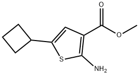 3-Thiophenecarboxylic acid, 2-amino-5-cyclobutyl-, methyl ester Struktur