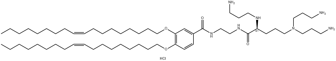 N1-[2-((1S)-1-[(3-aminopropyl)amino]-4-[di(3-amino-propyl)amino]butylcarboxamido)ethyl]-3,4-di[oleyloxy]-benzamide 化学構造式