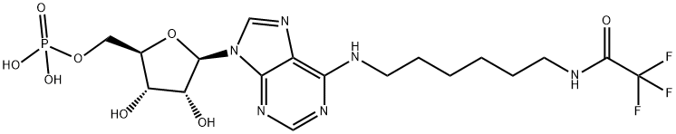 N6-(Trifluoroacetamidohexyl)adenosine 5''-Phosphate 结构式