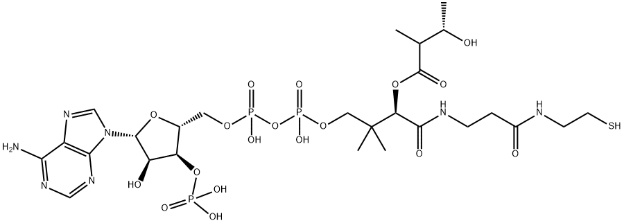 Coenzyme A, S-(3-hydroxy-2-methylbutanoate)|Coenzyme A, S-(3-hydroxy-2-methylbutanoate)