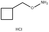 O-(环丁基甲基)羟胺盐酸盐, 75852-80-1, 结构式