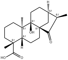 等效-9-羟基-15-氧代-19-异贝壳杉烷酸