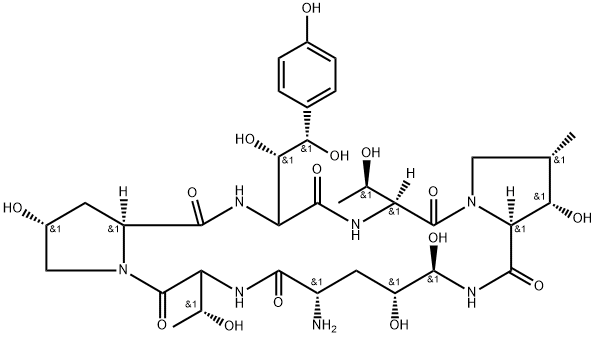 ECHINOCANDIN B