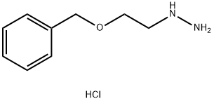[2-(benzyloxy)ethyl]hydrazine hydrochloride Struktur