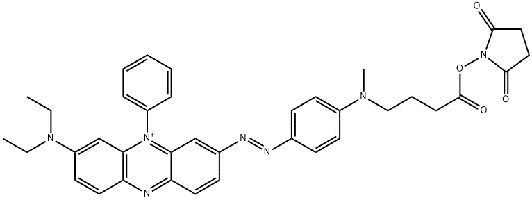 Phenazinium, 3-(diethylamino)-7-[2-[4-[[4-[(2,5-dioxo-1-pyrrolidinyl)oxy]-4-oxobutyl]methylamino]phenyl]diazenyl]-5-phenyl- Structure