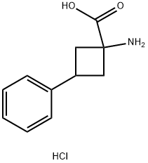 1-amino-3-phenylcyclobutane-1-carboxylic acid hydrochloride|1-AMINO-3-PHENYLCYCLOBUTANE-1-CARBOXYLIC ACID HYDROCHLORIDE